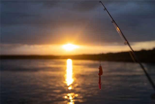 Professional fishing experience